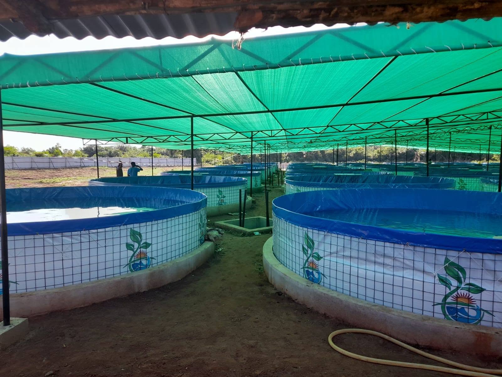 BioFloc Project Image