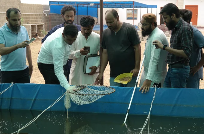 BioFloc Project Image